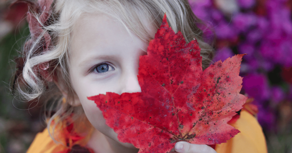 Fall Into The Season and Fix Up The House - Shield Insurance Agency Blog