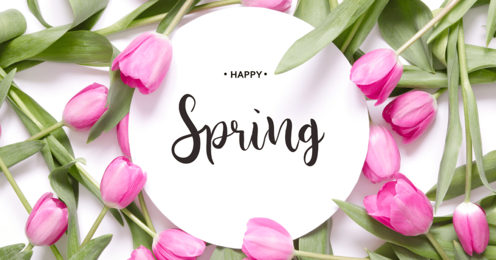 Spring Home Maintenance is Here - Shield Insurance Agency Blog
