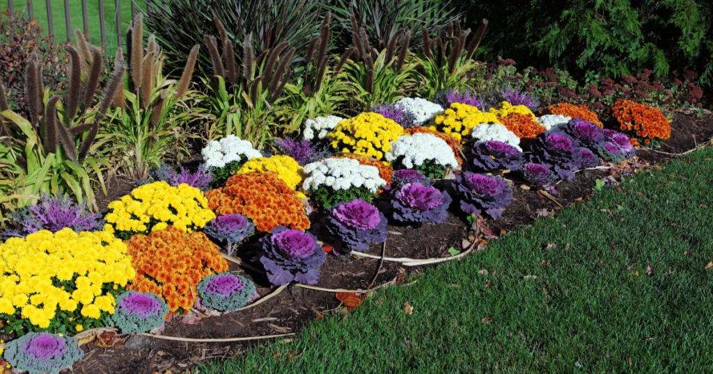How to Make a Flower Garden - Shield Insurance Agency Blog