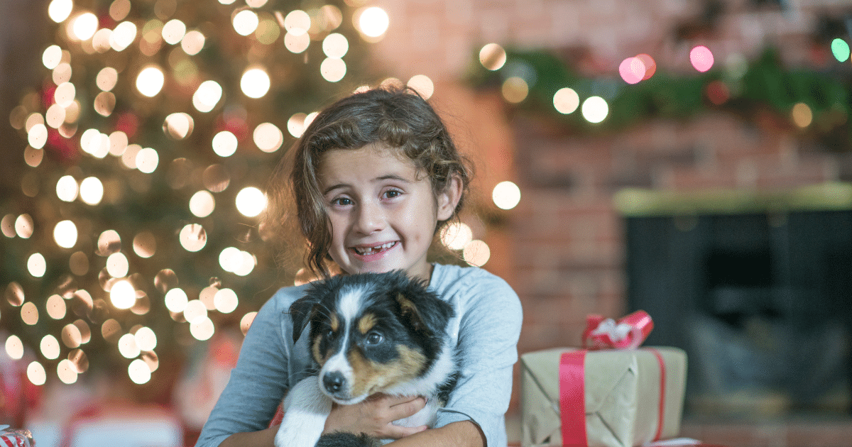 Pet Safety Tips For The Holiday Season – Shield Insurance Agency Blog