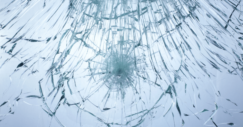 Comprehensive Coverage In Case A Fish Smashes Your Windshield – Shield Insurance Agency Blog