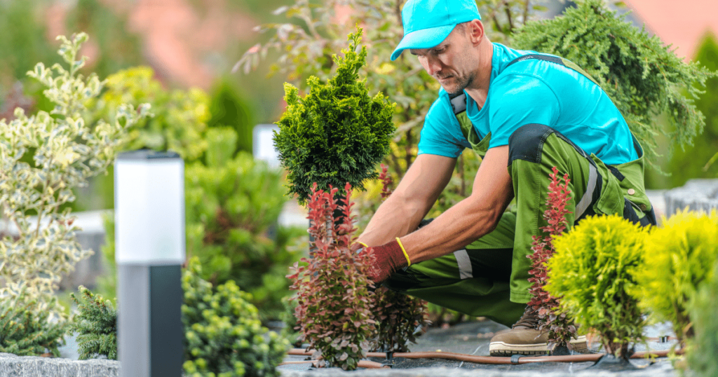 Get Gardening Muscles in Shape and Prevent Injuries - Shield Insurance Agency Blog