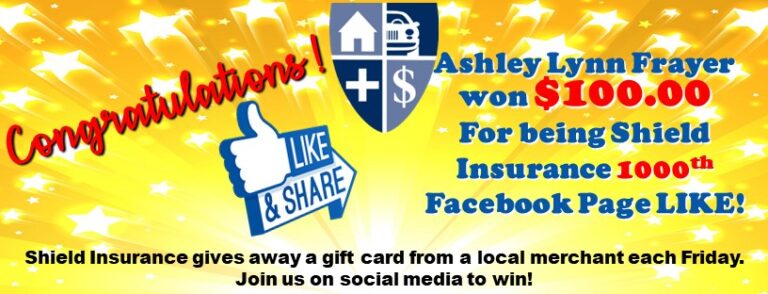 Shield Insurance Agency Hudsonville Awesome