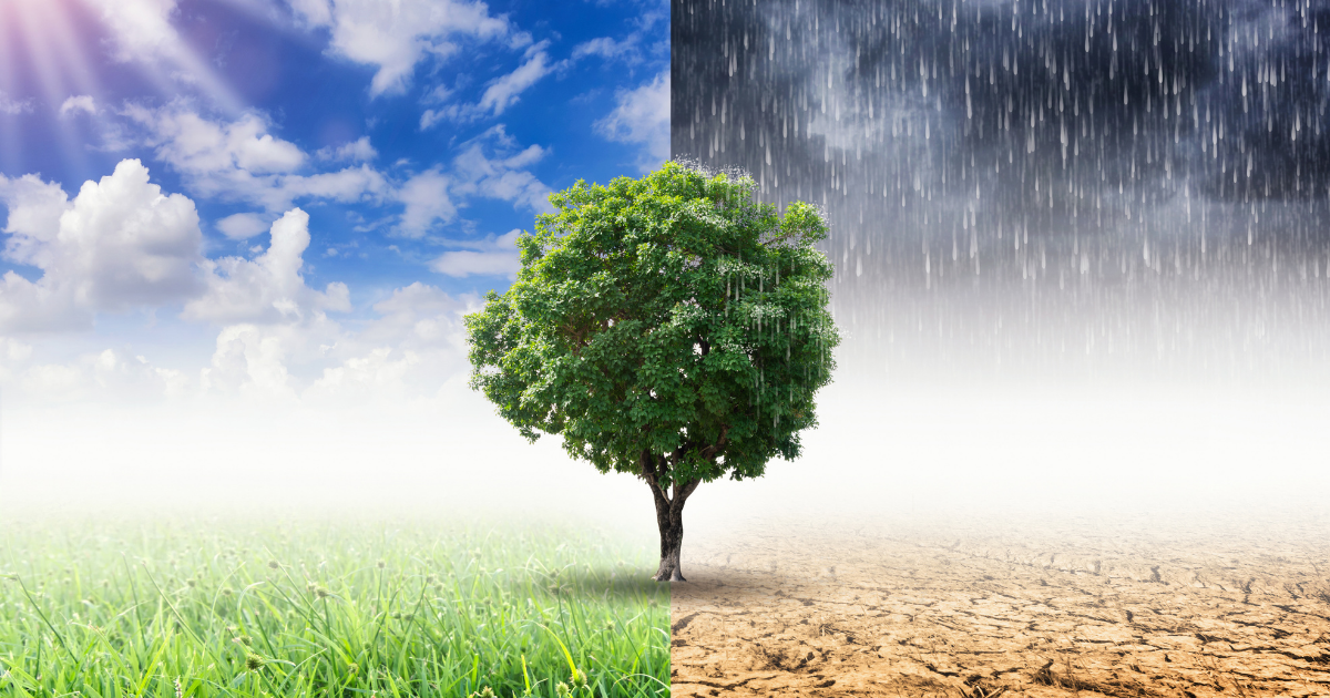 Climate Change Anxiety - Shield Insurance Agency Blog
