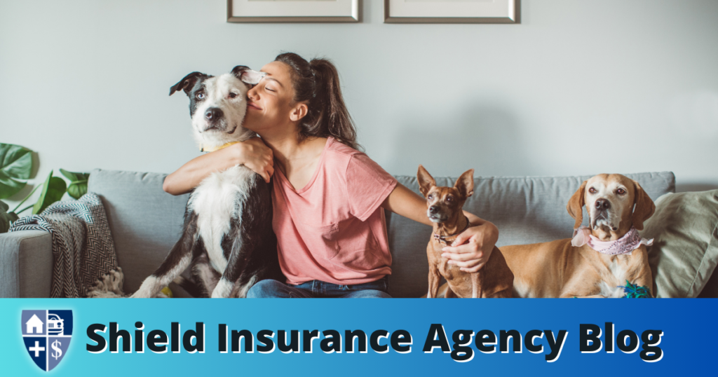 How to pick the right pet insurance for your pet