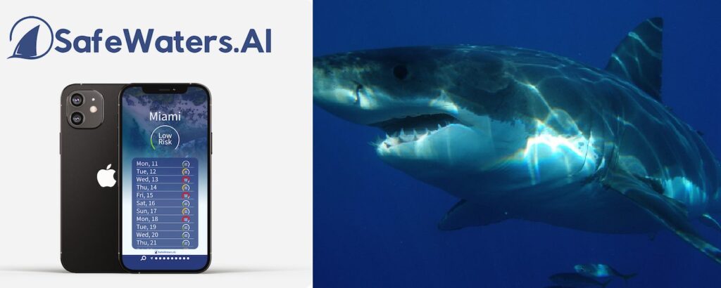 Shark Attack App Uses AI to Forecast and Detect Risk for Swimmers at 89% Accuracy