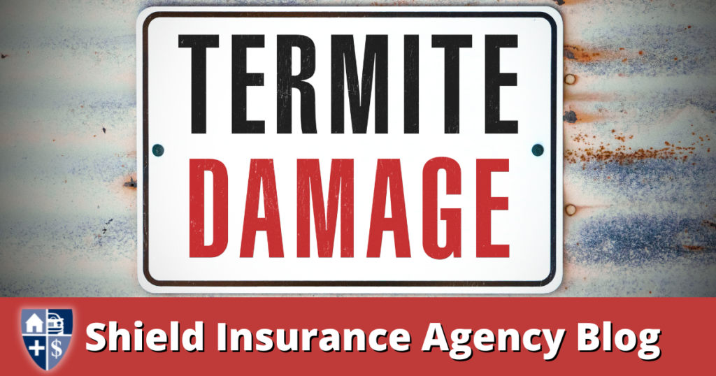 Homeowner Insurance: The Untold Truths You Need to Know